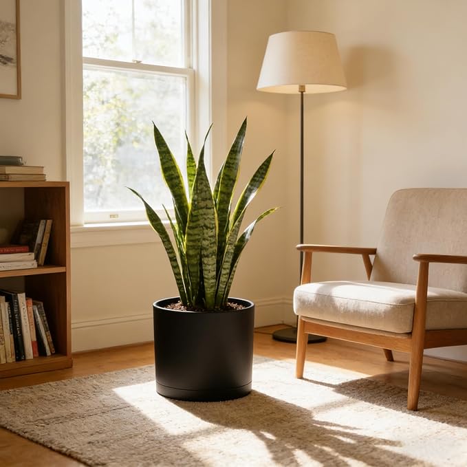 10 Inch Round Plastic Plant Pot - Image 7