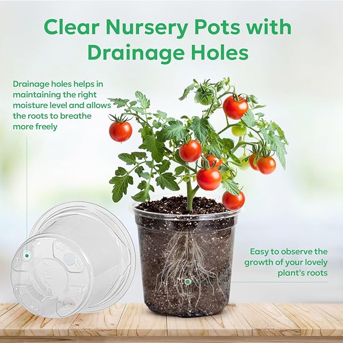 30 Packs 5 Inch Reinforced Clear Nursery Pots - Image 3