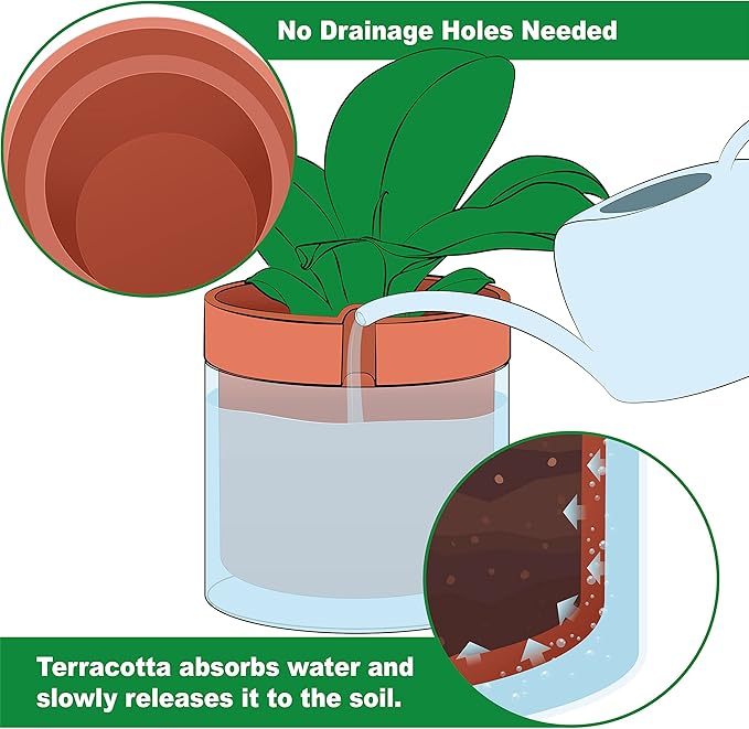 Phoenix Vine 10 Inch Self Watering Planter Pot, Terracotta Clay Pot - Image 6