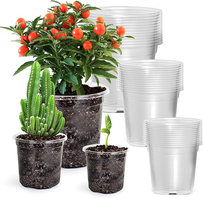 36 Packs 5/4/3.5 Inch Reinforced Clear Nursery Pots by Bluepro