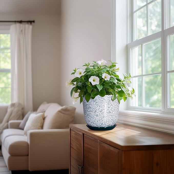 Ceramic Pots for Plants - Image 6
