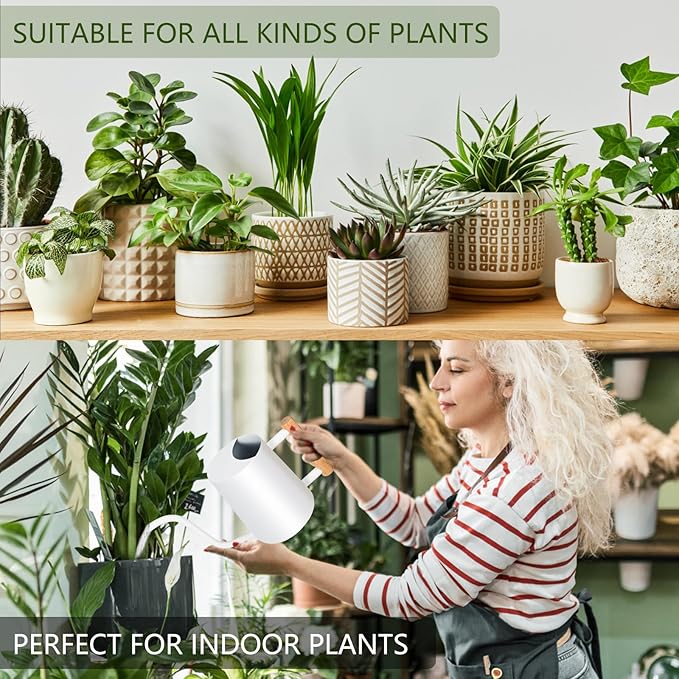 Watering Can Indoor Plants, 35oz Small Stainless Steel Metal Watering Can - Image 4