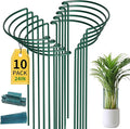 TCBWFY 10 Pack Plant Support Stakes by TCBWFY