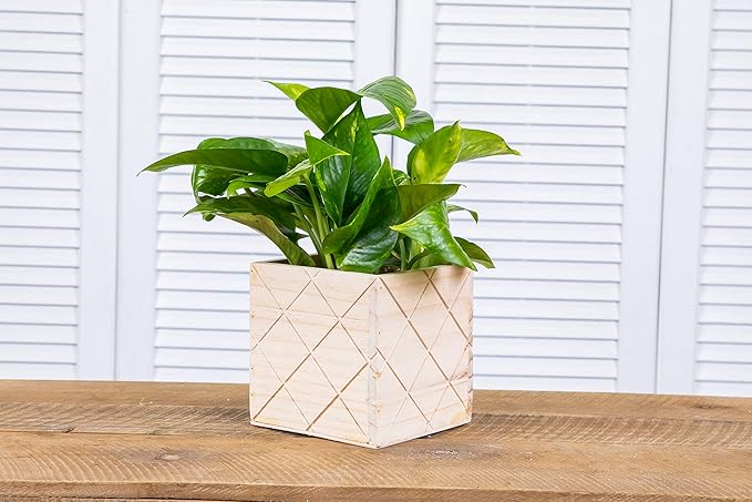 Wood Planter Box with Diamond Cross Hatch Style, 5 Inch Square, Rose Wood - Image 5