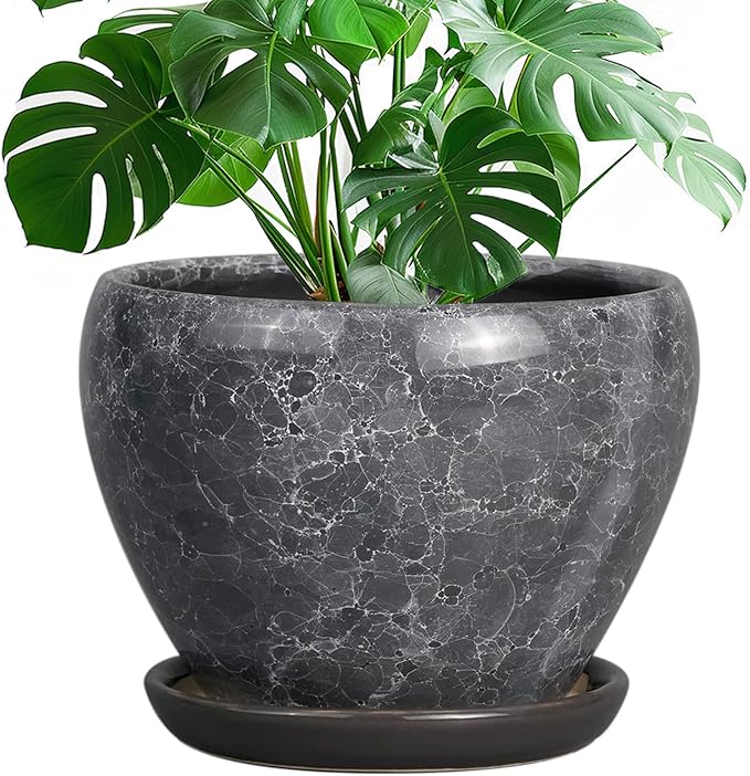 Ceramic Planters for Indoor Plants by Ceramicfor