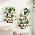 Bamworld Floating Shelves for Wall Planters for Indoor Plants Hanging Shelves by Bamworld