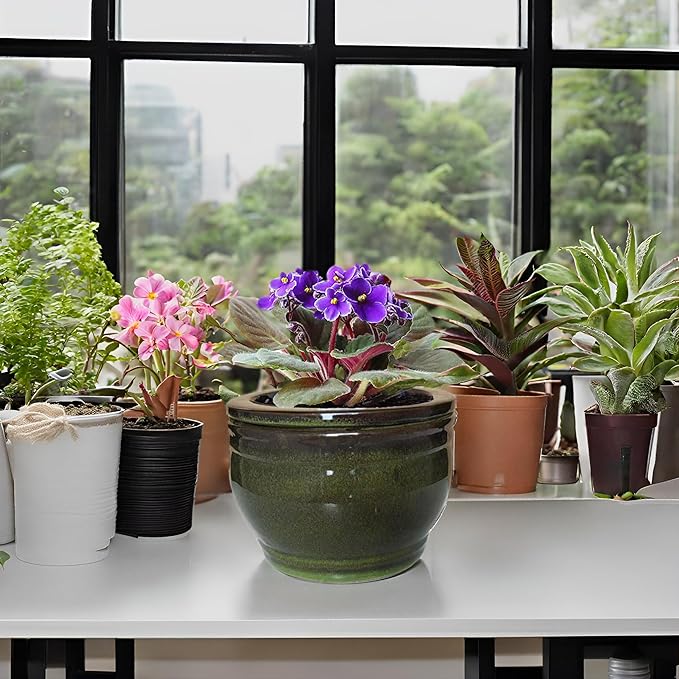 African Violet Pots Self Watering Round Ceramic Violet Pot - Image 8