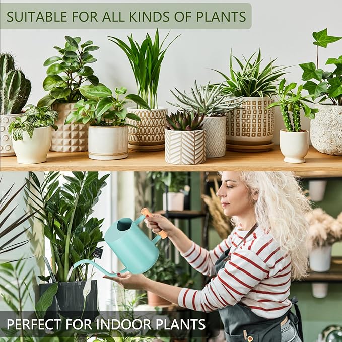 Watering Can Indoor Plants, 35oz Small Indoor Stainless Steel Metal Watering - Image 4