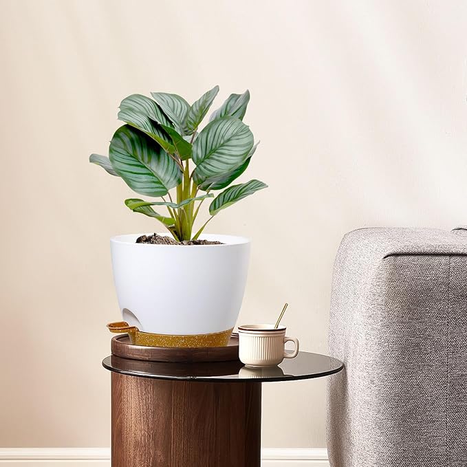 10 inch Self Watering Pots, 2 Pack Plastic Planters - Image 2