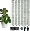 60"/40"/24" Metal Moss Pole, D Shape Sphagnum Moss Pole, Moss Poles by HOLANHING