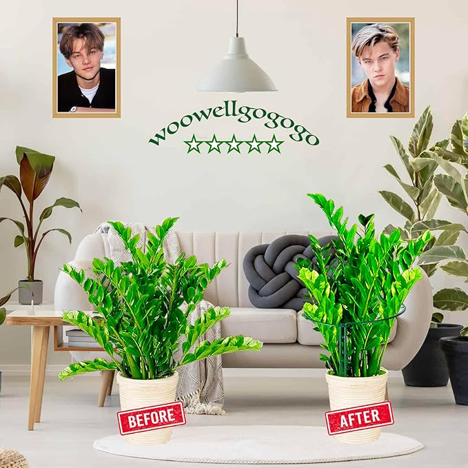 6-Pack Snake Plant Support Stakes, Half-Round Peony Cages and Supports - Image 5