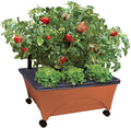 The Emsco Group 2340 Patio Box Planter by Emsco+Group