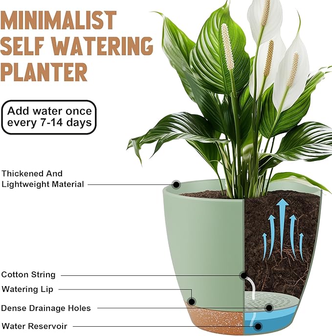 Plant Pots 8/7/6.5/6/5.5/5 Inch Self Watering Pots, Plastic Flower Pots - Image 4