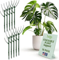Stackable Plant Support Stakes, Indoor & Outdoor Houseplant Stem Support by TwigsGardenAccessories