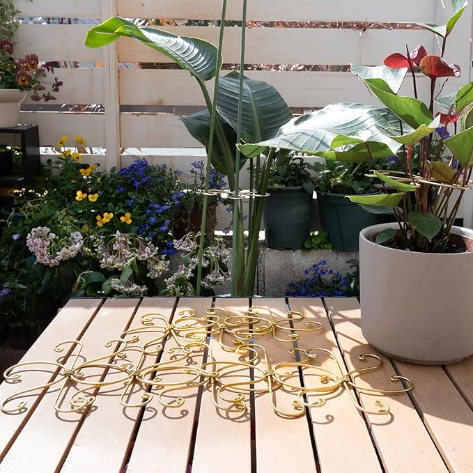 Durable Monstera Plant Support Hooks 5.5in - Image 7