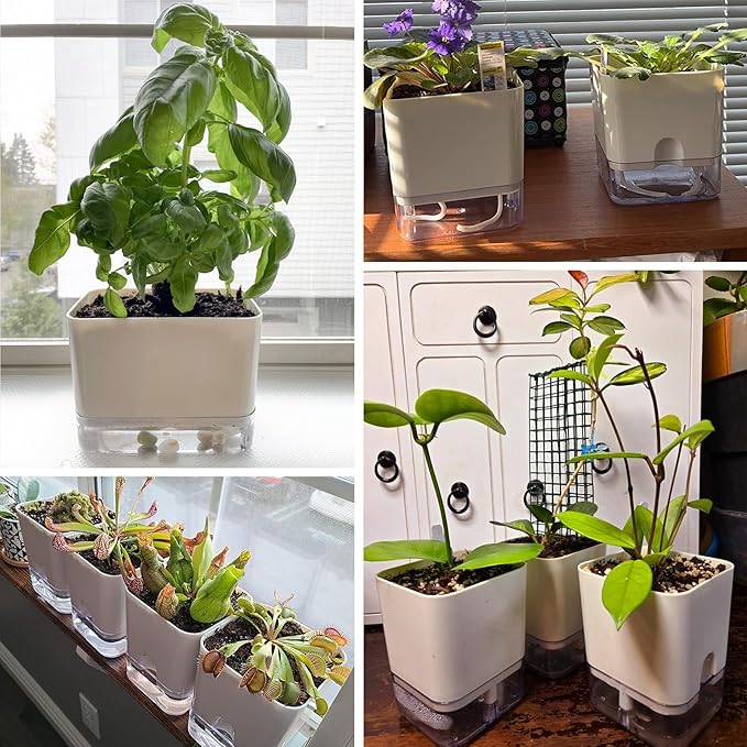 Planterhoma Self Watering Plant Pots - Image 7