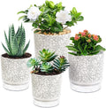 Self Watering Pots for Indoor Plants, 5 & 4 Inch Stylish Flower Pots by Etvski