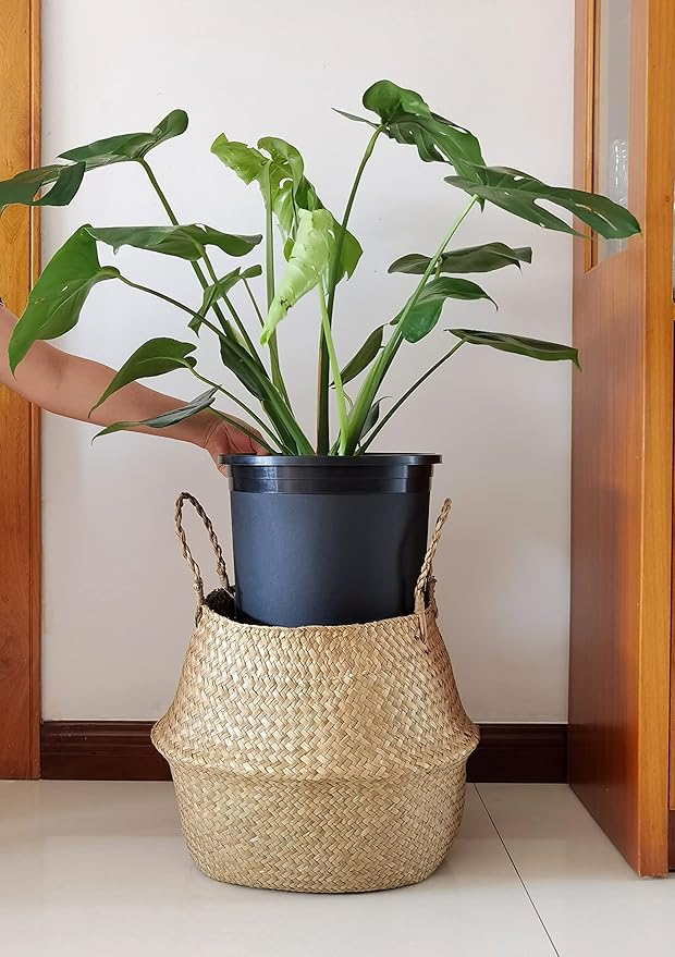 5 Gallon 6-Pack Large Plant Pots Nursery Tree Pot Plastic Planters - Image 5