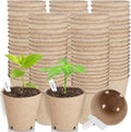 132 Pack Organic Peat Pots, 3.15 Inch Nursery Pot, Round Plant Seedling Pots by ModaSin