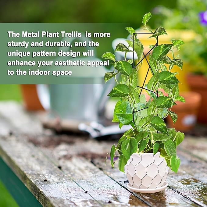 17.5 Inch Indoor Plant Trellis for Climbing Plants, Metal Trellis, Small Garden - Image 5