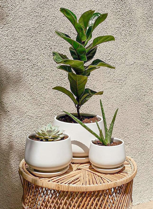 LE TAUCI Ceramic Plant Pots, 4.1+5.1+6.5 inch, Planters - Image 3