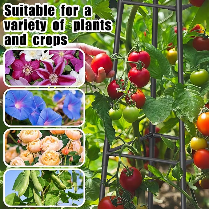 6FT Obelisk Trellis for Climbing Plants Outdoor, 16mm Rust-Proof Extra - Image 6