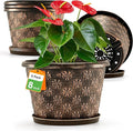 8 Inch Planter Pots for Plants, Plastic Flower Pots Indoor Outdoor, 5 Pack by FlowyypoPlantPot