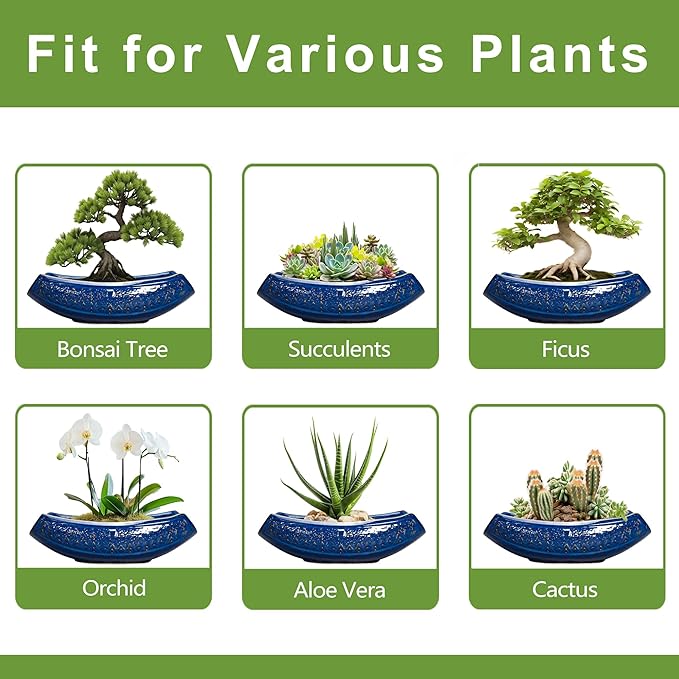 Bonsai Pots - 18 Inch Large Ceramic Succulent Pots - Image 7