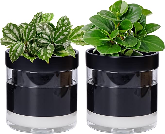 Phoenix Vine 6 Inch Self Watering Planter Pot by Phoenix+Vine