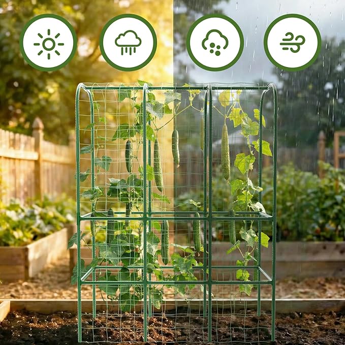 65" Tall Cucumber Trellis for Raised Bed, Garden Trellis for Climbing Plants - Image 6