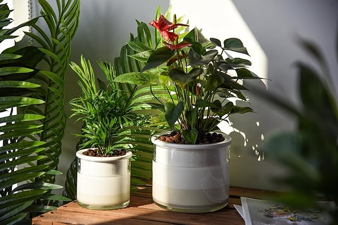 Phoenix Vine 6 Inch 4 Inch Self Watering Planter Pots, Design White Terracotta - Image 2
