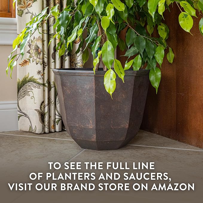 Classic Home and Garden Shaina Planting Pots - Image 7