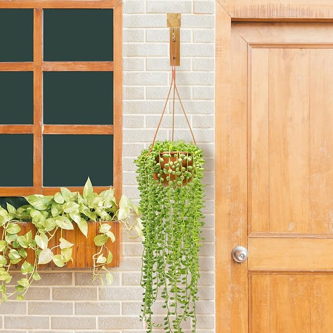 Macrame Plant Hanger, Hanging Wall Planters - Image 5