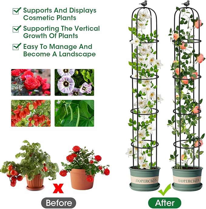 6.2ft Garden Obelisk Trellis for Climbing Plants Rustproof Metal Pipe - Image 4