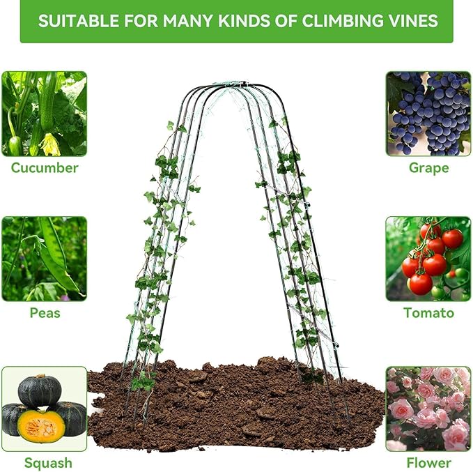Lalahoni Cucumber Trellis, - Image 3