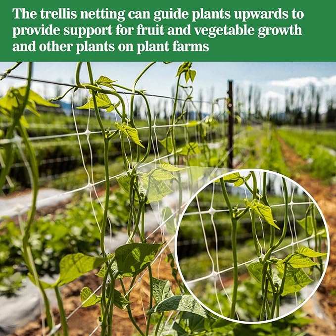 2 PCS Garden Plant Trellis Netting - Image 6