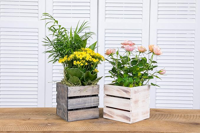 Wood Planter Box with Wine Crate Styled, 5 Inch Square, Plastic Liner, Garden - Image 7