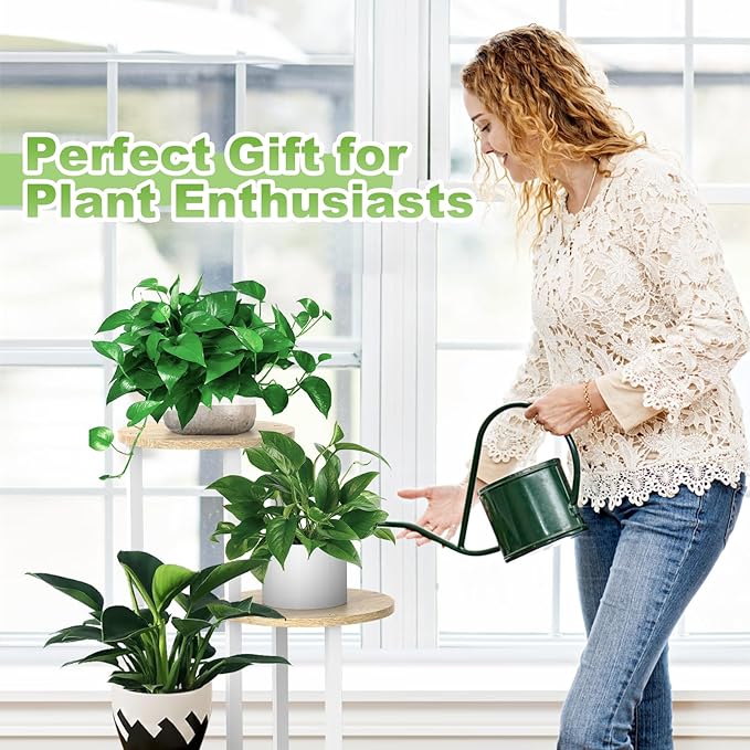 Plant Stand Indoor, 4 Tier Thickened Metal Corner Plant Shelf - Image 7