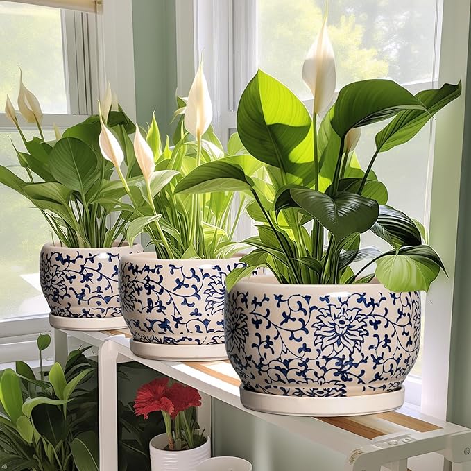 SQOWL Ceramic Flower Pots - Image 5