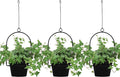 Gardzen 3 Packs Hanging Pots for Plants Outdoor & Indoor, Pot Hangers for Plant by Gardzen