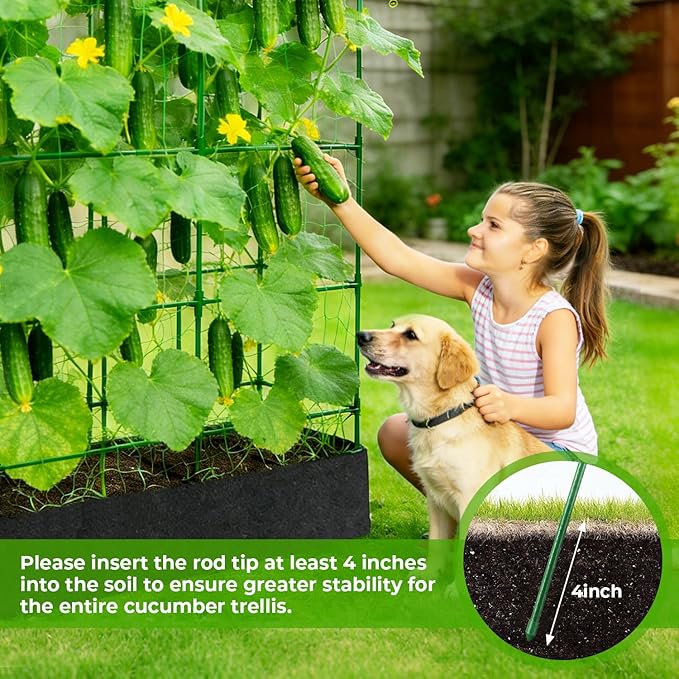 Large Cucumber Trellis for Climbing Plants Outdoor - Image 7
