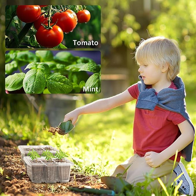 Bonviee 10 Packs Seed Starter Tray - Image 7
