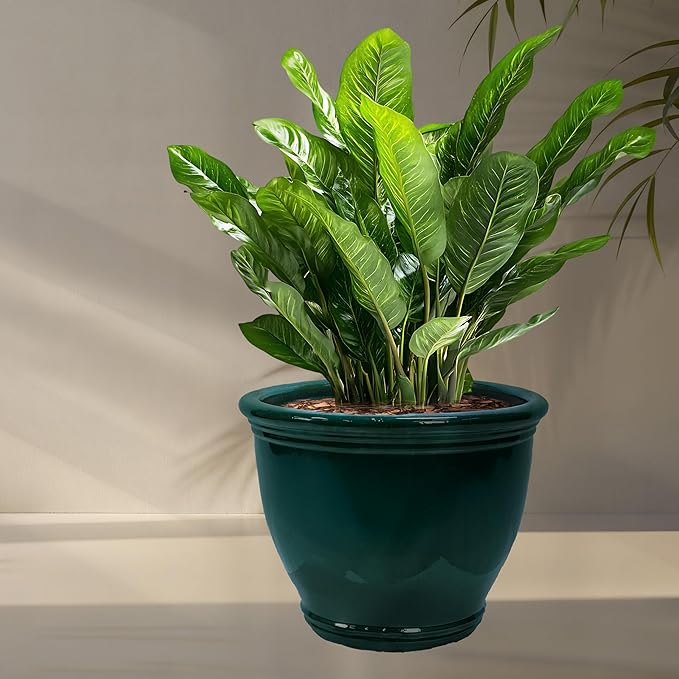 Sunnydaze Large Ceramic Plant Pot - Image 6