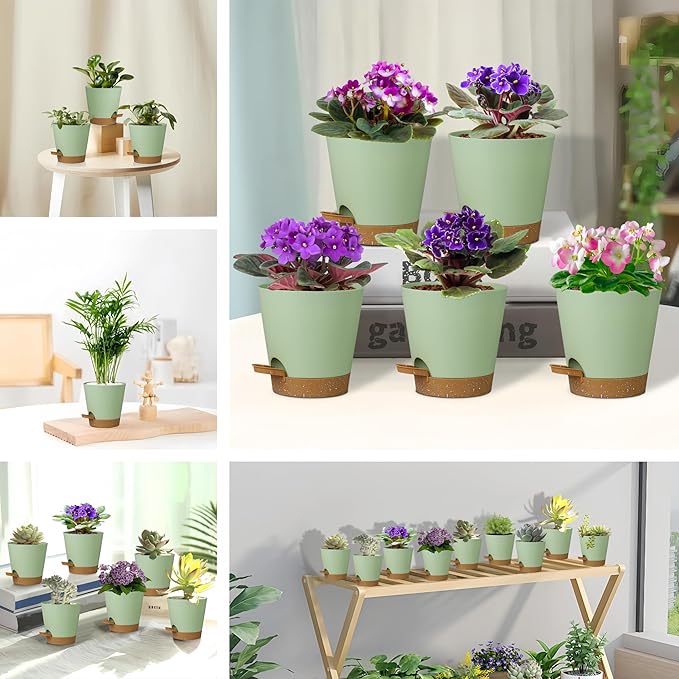 5 Pack 5 inch Self-Watering Pots, African Violets Planter - Image 4