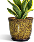 Ceramic Planter by SUNPOTFOR