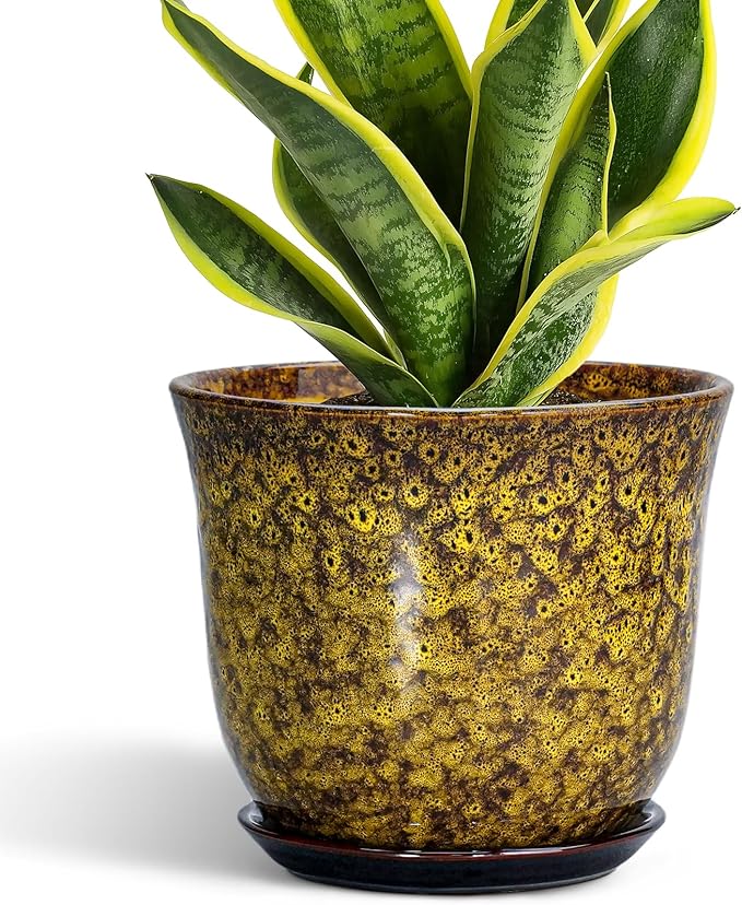 Ceramic Planter by SUNPOTFOR