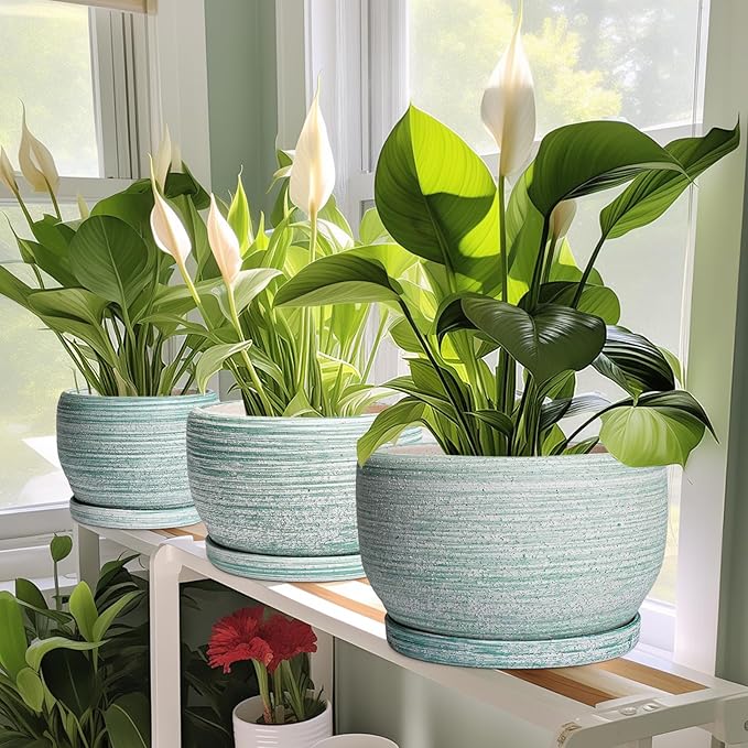 SQOWL Ceramic Planters for Indoor Plants - Image 6