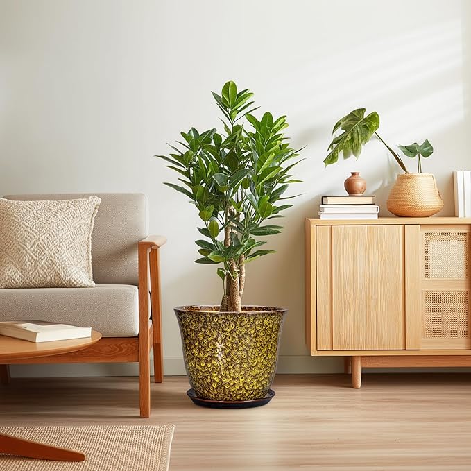 12 Inch Plant Pot - Image 7