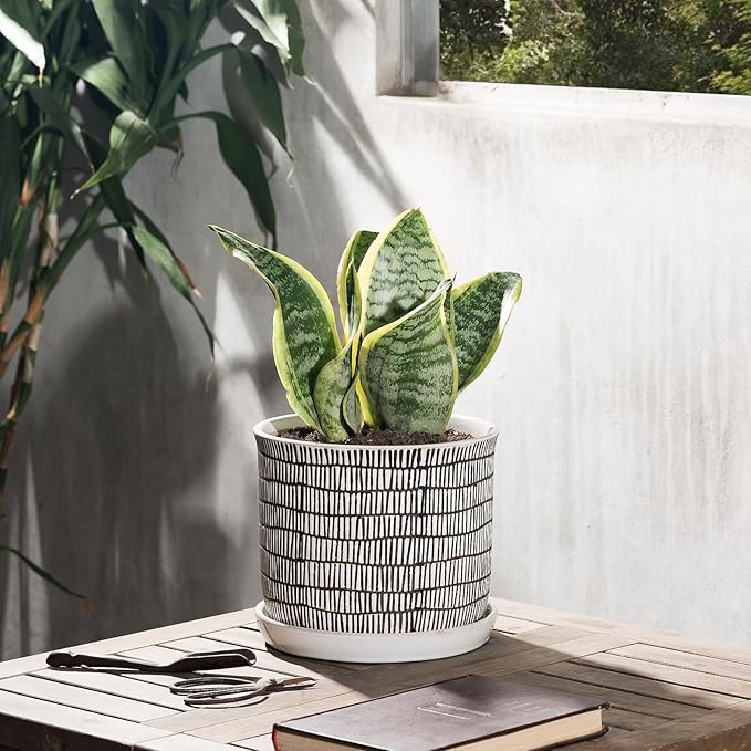 8 Inch Plant Pot: Ceramic Planter - Image 5