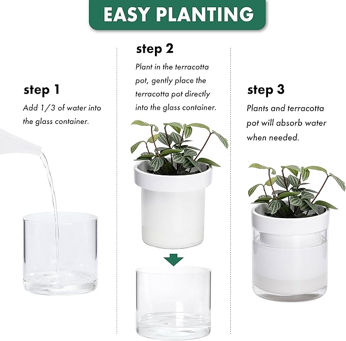 Phoenix Vine 4 Inch Self Watering Planter - Image 7
